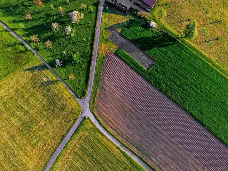 Aerial view of farm fields and a rural road